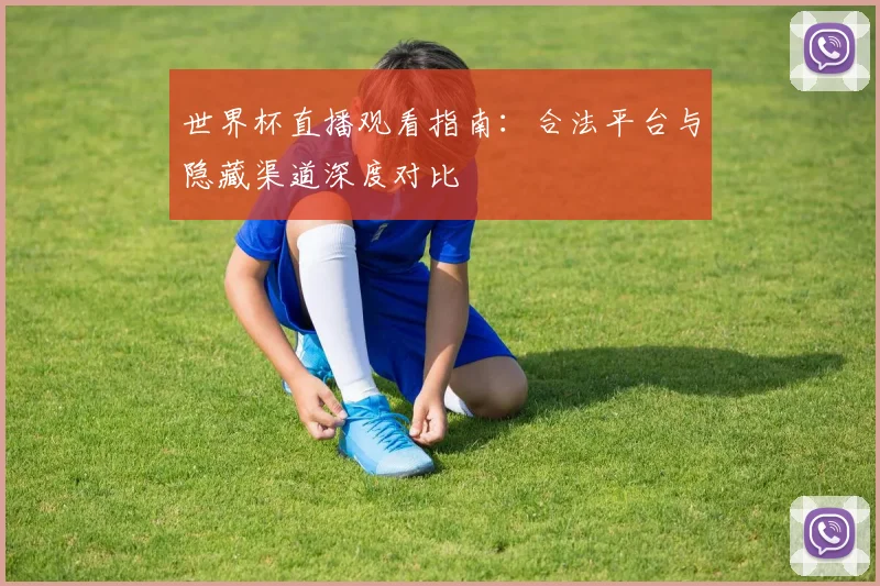 世界杯直播观看指南:合法平台与隐藏渠道深度对比