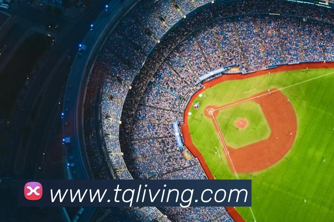 mksports在线登录入口品牌故事